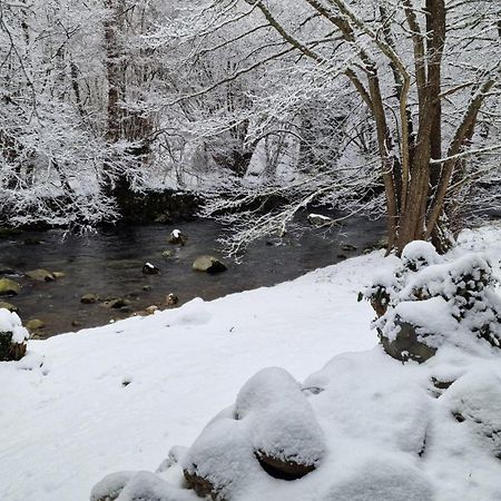 Val-de-Sos Ariege, Agreable T2 En Bord De Riviere 아파트 외부 사진